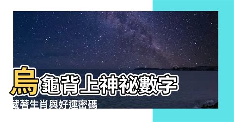 烏龜代表數字